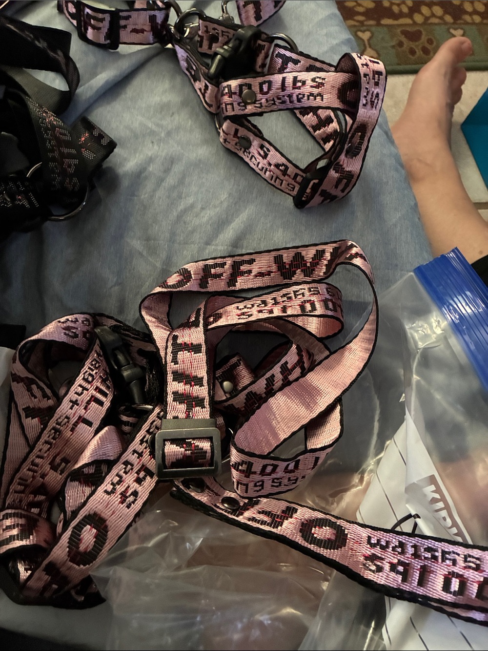 2xsmall, one small off white
Leash, collar, step in double clamp harness - Picture 4 of 5